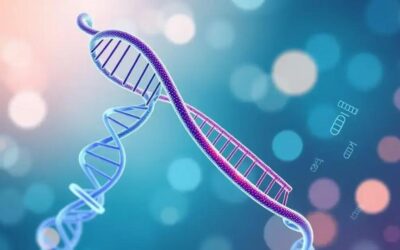 8 Testes Genéticos no Câncer Colorretal: Guia Completo de Cuidados