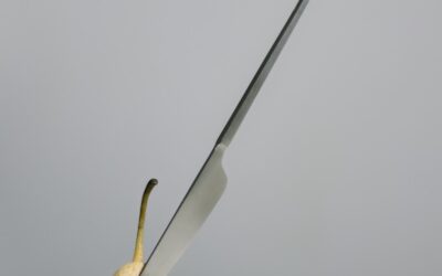 Botox x Cirurgia Tradicional para Fissura Anal: 8 Fatos Importantes