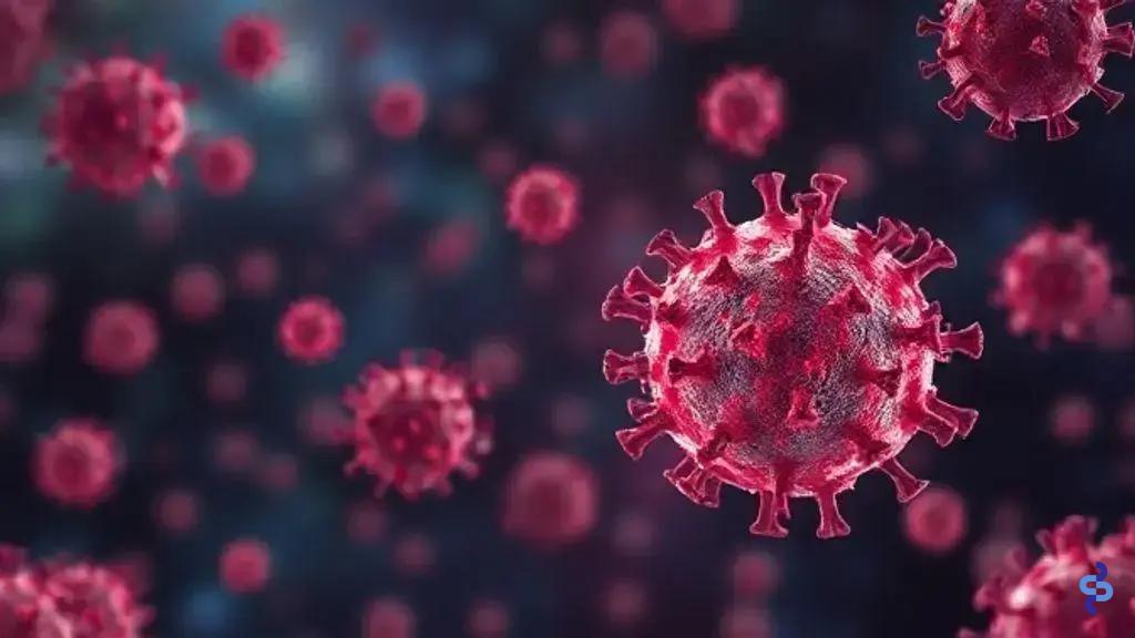 HPV: entenda a infecção e como prevenir o câncer anal