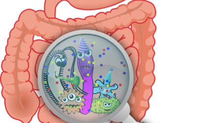 Clostridium difficile: entenda os riscos e como tratá-lo adequadamente